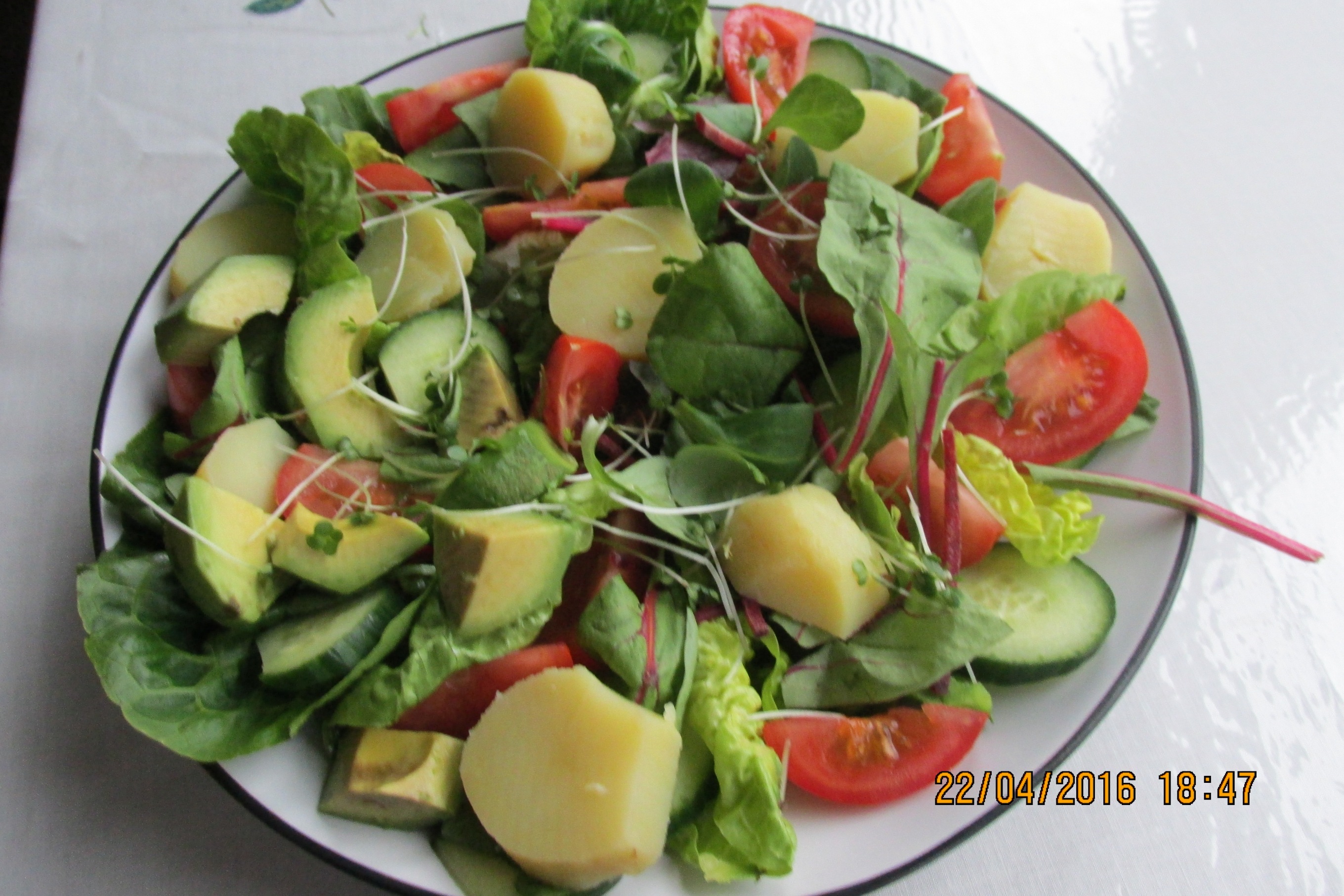 Avocado spring salad